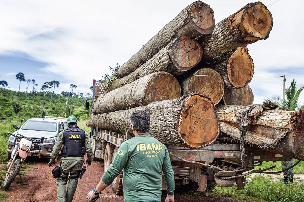 CRIME - Extração de madeira ilegal na Amazônia: problema recorrente -