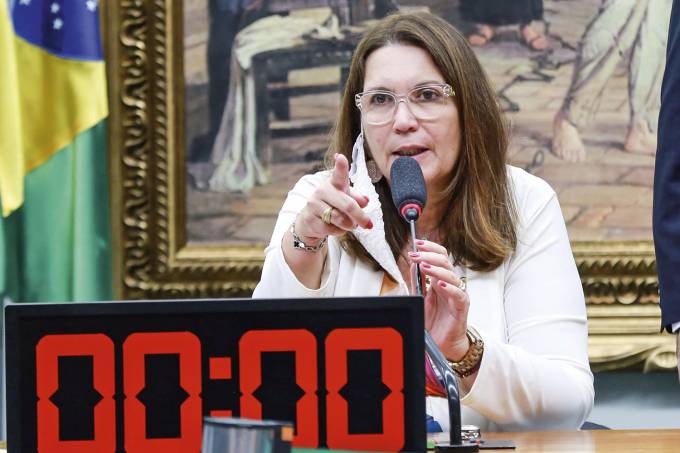 ‘Root Bolsonaro’ pierde espacio en el mando de comités de Cámara
