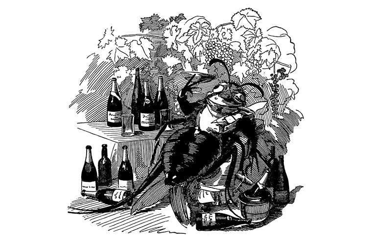 CHARGE DE 1880 - Filoxera: a terrível praga arruinou as vinhas -