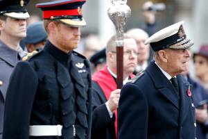 Duke Of Edinburgh And Prince Harry Visit The Fields Of Remembrance