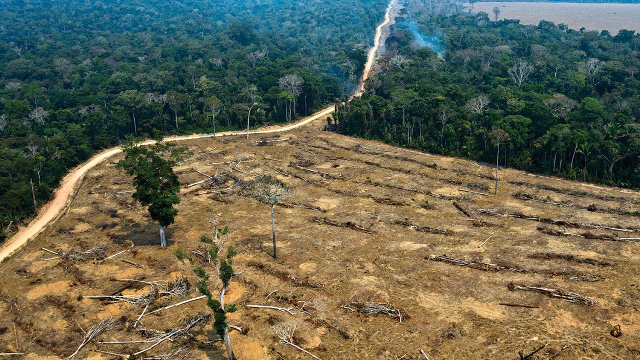 FERIDA - Área desmatada na Amazônia: o mundo exige que o governo resolva o problema já -