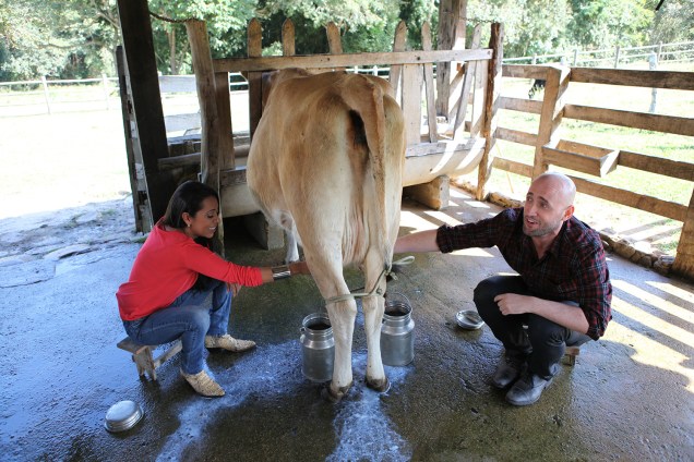 Samantha Schmutz e Paulo Gustavo tiram leite de vaca na temporada de inverno do "Estrelas" -