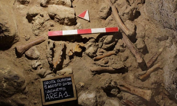 Neandertais