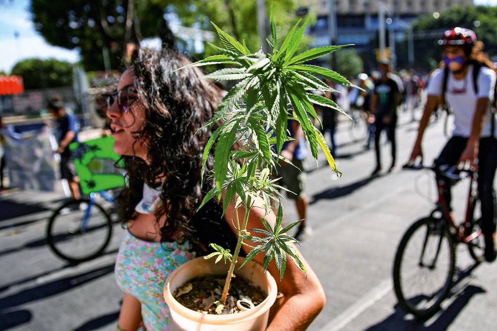 ATIVISMO - Passeata no México: o país latino-americano aprovou lei de liberação do uso recreativo da maconha -