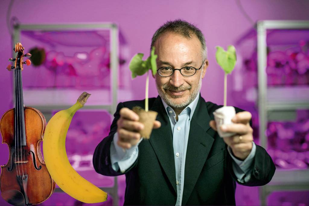 STEFANO MANCUSO 2106.jpg PROVOCATIVO - Mancuso (acima): casos saborosos que vão do segredo do violino Stradivarius aos supostos efeitos alucinógenos da casca de banana -