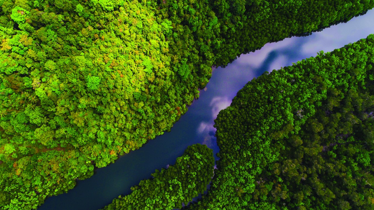 Rio na Amazônia cercado por mata