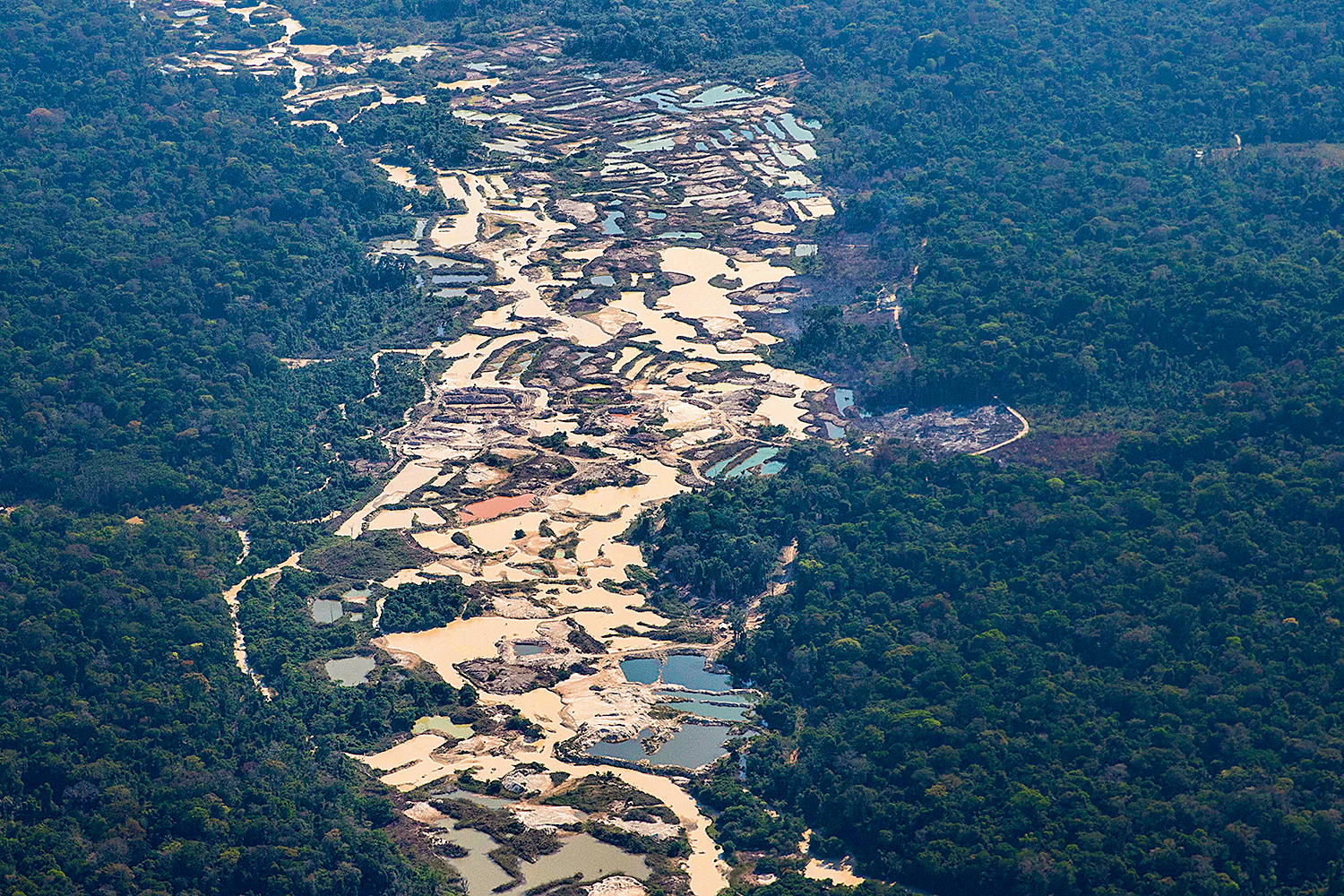Concentration of numerous mining sites in Novo Progresso, Pará