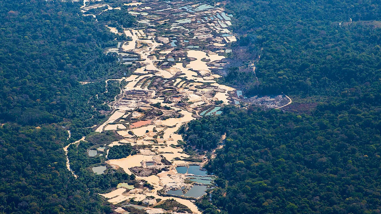 Concentração de inúmeros sítios de garimpo em Novo Progresso, no Pará