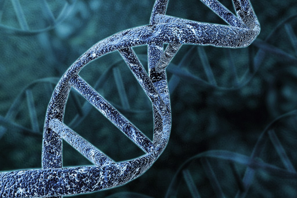 A DUPLA HÉLICE DE DNA - Pares genéticos: eles definem quem a pessoa é fisicamente e até psicologicamente -