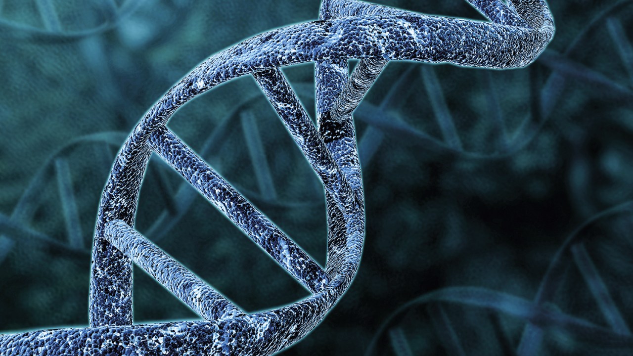 A DUPLA HÉLICE DE DNA - Pares genéticos: eles definem quem a pessoa é fisicamente e até psicologicamente -
