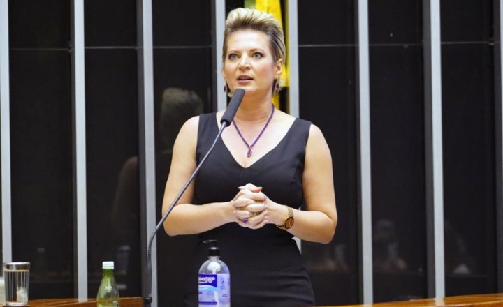 Joice Hasselmann sai do PSDB após culpar partido por não se reeleger | VEJA