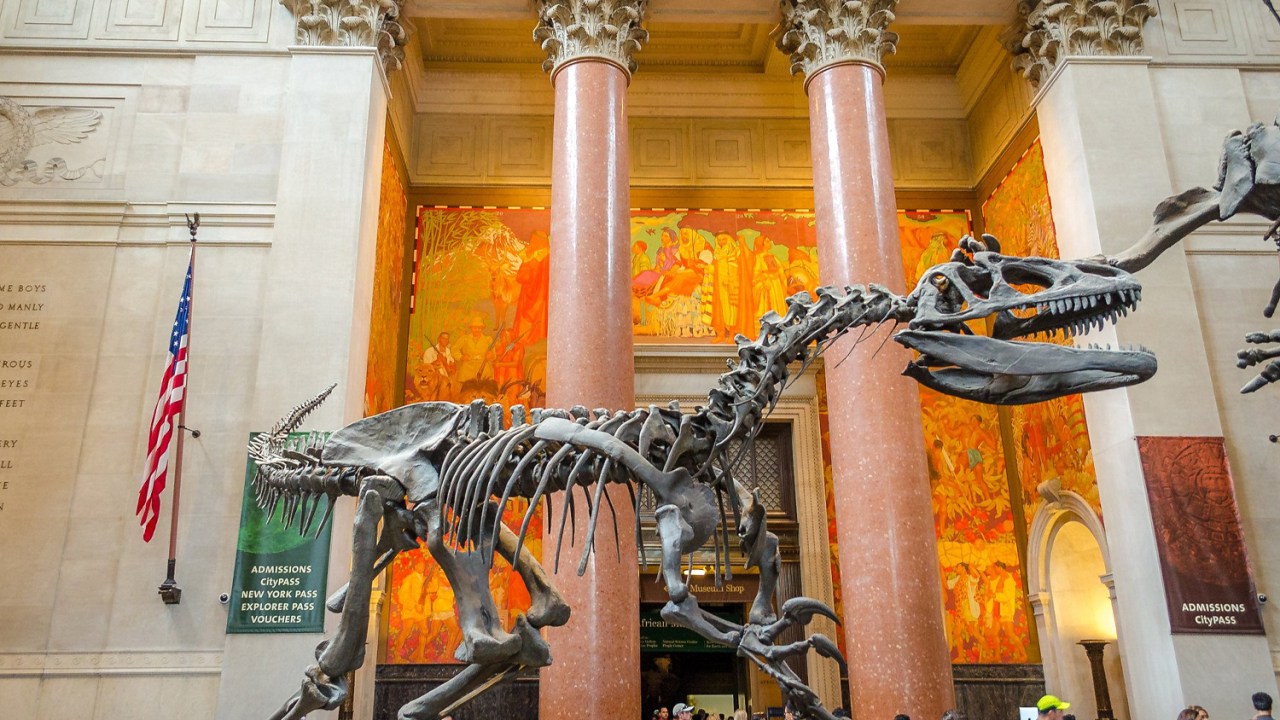 O Tiranossauro Rex do Museu de História Natural dos Estados Unidos, em Nova York