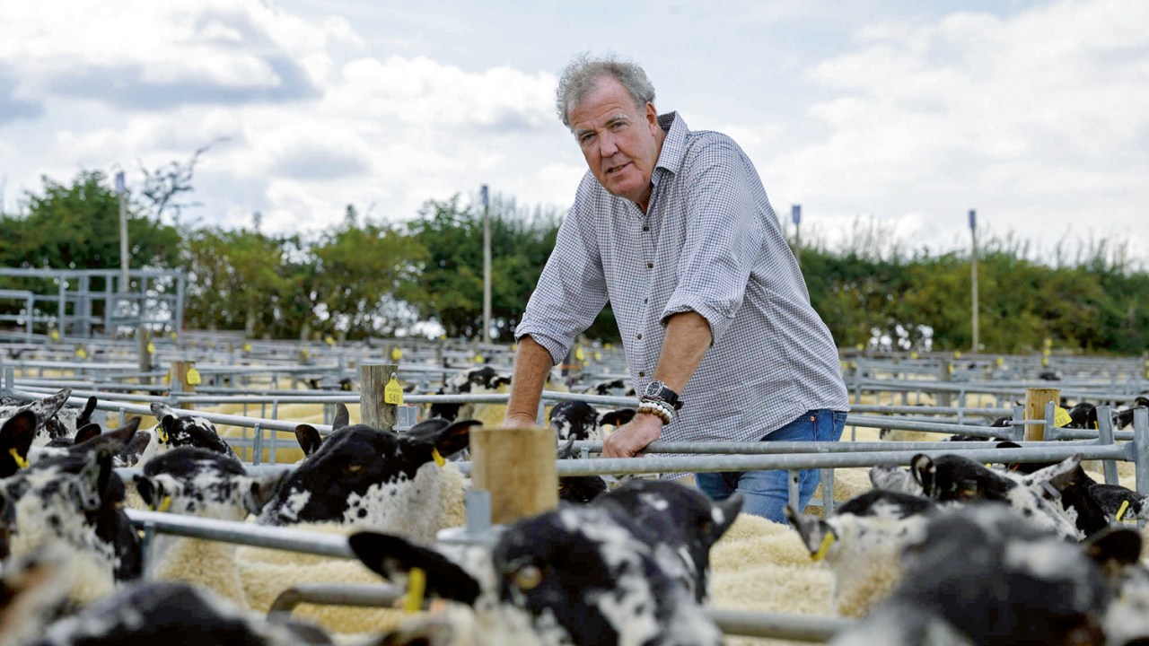 HAJA PASTO - Jeremy Clarkson com as ovelhas devoradoras de dinheiro: a alegria e os micos de um fazendeiro fajuto -