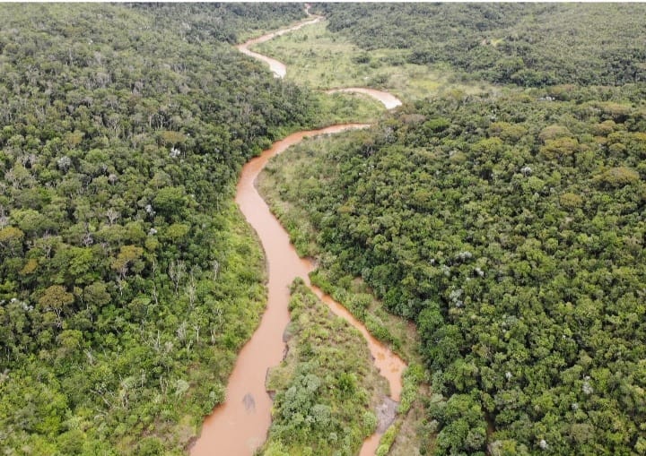 Imagem de 2021 do local do desastre de Mariana (MG) divulgado pela Fundação Renova após reflorestamento. Divulgação de 01/07/2021