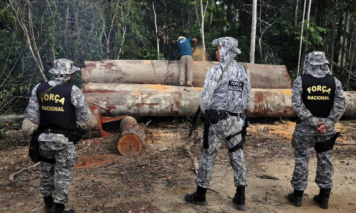 Forças Armadas participam de ação para combater desmatamento em Mato Grosso