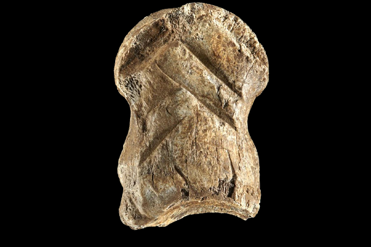 Datado de 51 mil anos atrás, osso de cervo com padrão geométrico pode ser a primeira peça de arte da humanidade