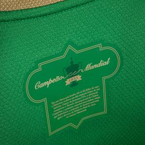 palmeiras2 Clube considera o campeonato como um título mundial -