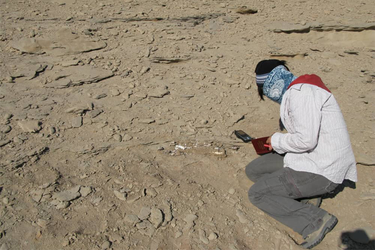 Sítio fossilífero onde foram encontradas duas novas espécies de dinossauros, Silutitan sinensis e Hamititan xinjiangensis