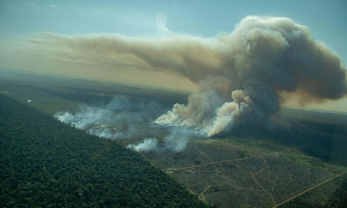 Incêndio florestal em área desmatada em floresta pública não designada em Porto Velho, Rondônia