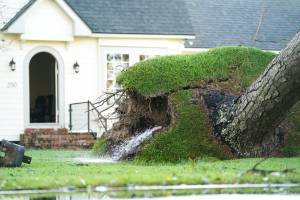 Cano vaza água abaixo de árvore depois da passagem do furacão Ida por Louisiana, EUA. 31/08/2021