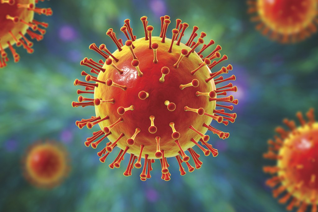 VIDA LONGA - O Sars-CoV-2 e sua forma de coroa: o vírus será epidêmico -