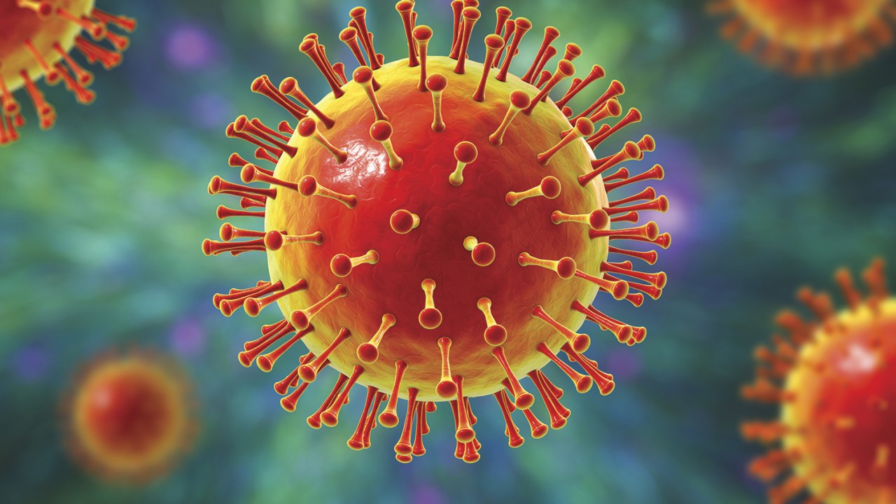 VIDA LONGA - O Sars-CoV-2 e sua forma de coroa: o vírus será epidêmico -