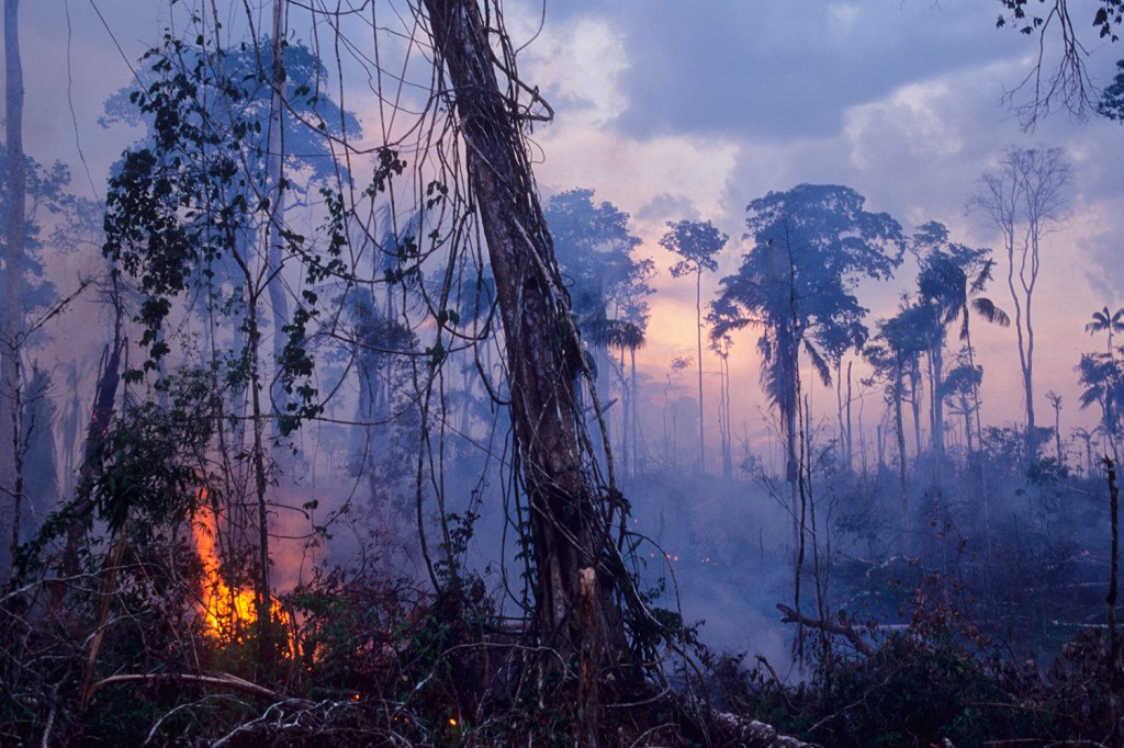 QUEIMADA NA AMAZÔNIA - Devastação leva a floresta a emitir mais carbono do que é capaz de absorver -