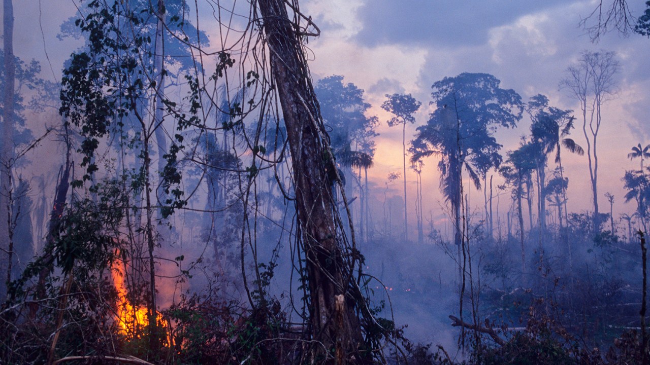 QUEIMADA NA AMAZÔNIA - Devastação leva a floresta a emitir mais carbono do que é capaz de absorver -