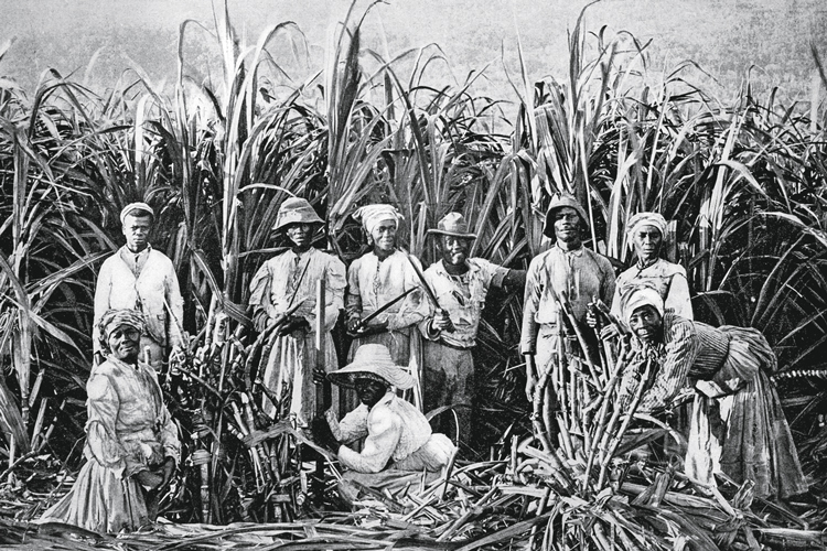 REPARAÇÃO - Escravos em plantação na Jamaica: 179 anos de exploração -