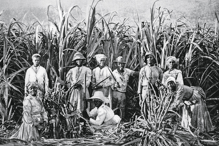 GettyImages-463971579.jpg REPARAÇÃO - Escravos em plantação na Jamaica: 179 anos de exploração -