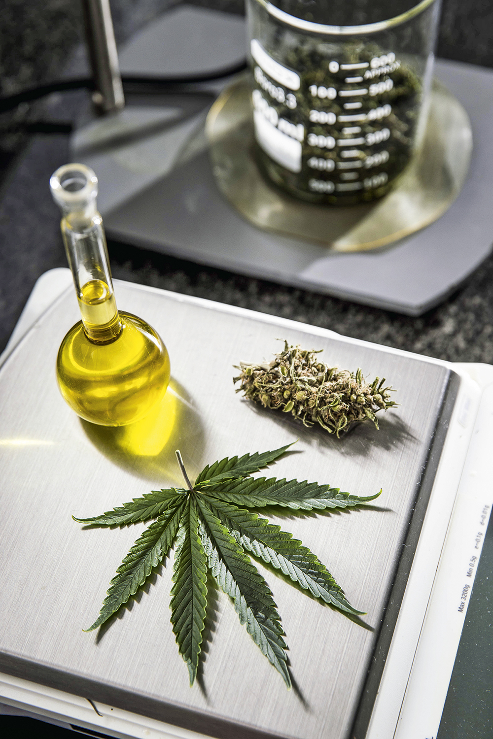 REMÉDIO POTENTE - Cannabis em pesquisa: uso contra dor e insônia -