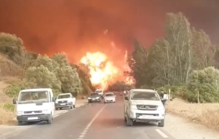 Argelinos fogem das chamas em estrada no norte do país