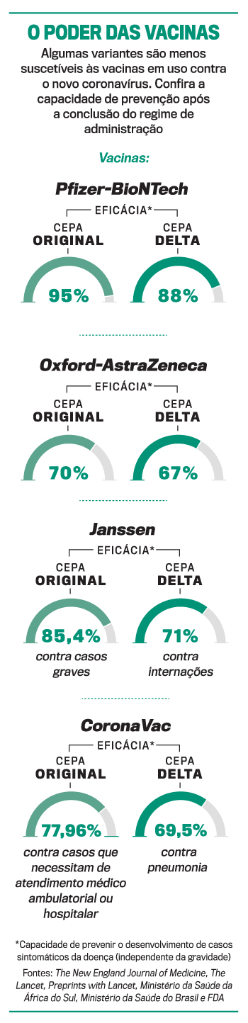 arte Efic&aacute;cia Vacina