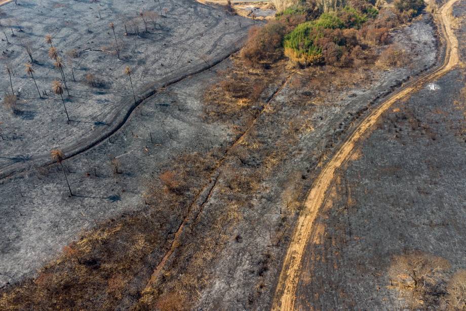 Mococa, um município brasileiro do estado de São Paulo, e que faz parte da Região Metropolitana de Ribeirão Preto - Mococa, um município brasileiro do estado de São Paulo, e que faz parte da Região Metropolitana de Ribeirão Preto -