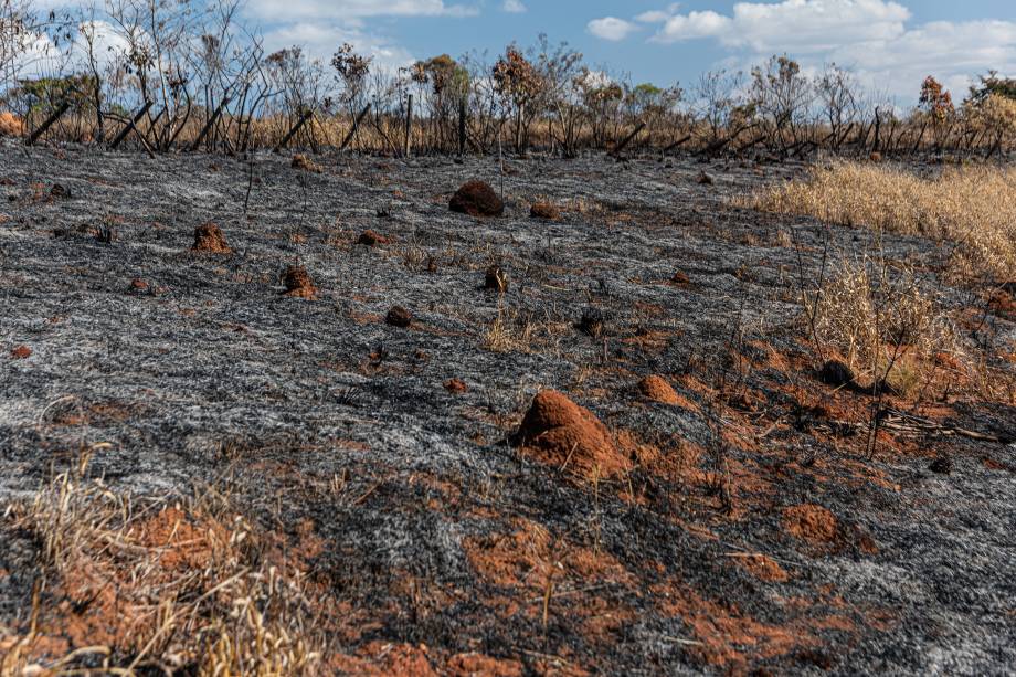 Caminho para a Fazenda Roseira, em Jacuí-MG - Caminho para a Fazenda Roseira, em Jacuí-MG -