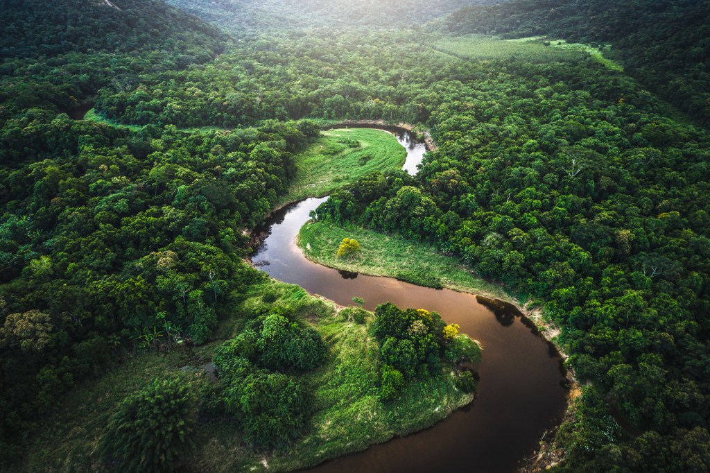 Foto de drone mostra mata amazônica e o rio amazonas
