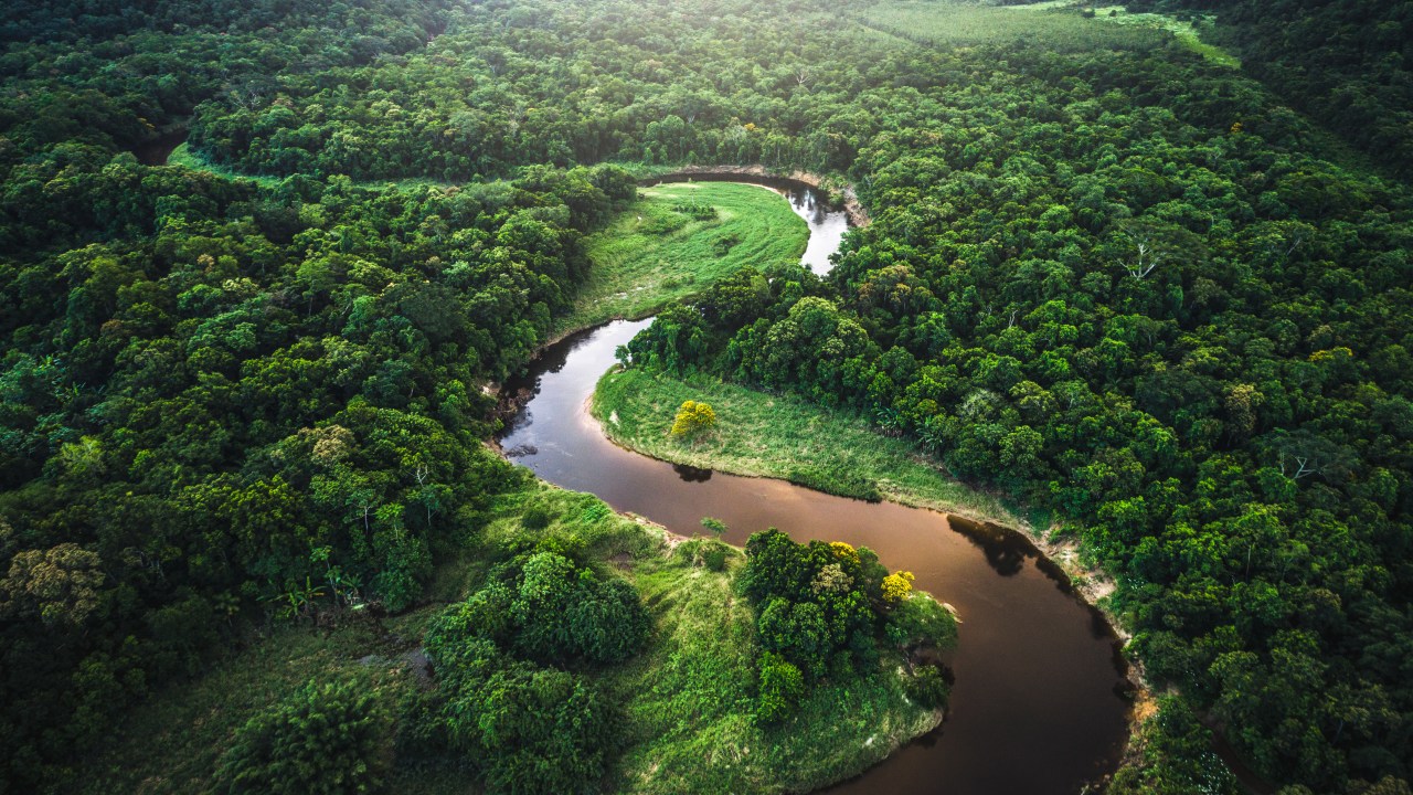 Foto de drone mostra mata amazônica e o rio amazonas