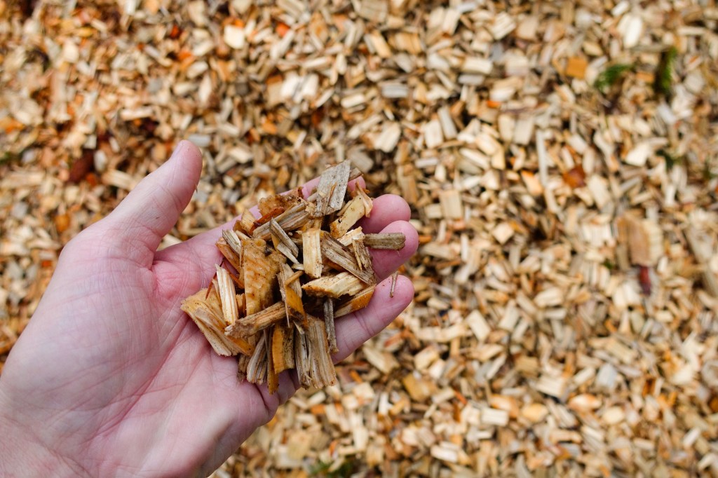 Close up of a hand holding wood chips