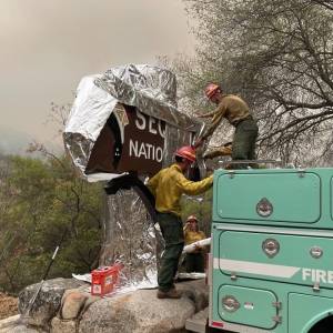 Bombeiros 'envelopam' árvores e placas do Parque Nacional das Sequoias, na Califórnia, para conter incêndio devastador