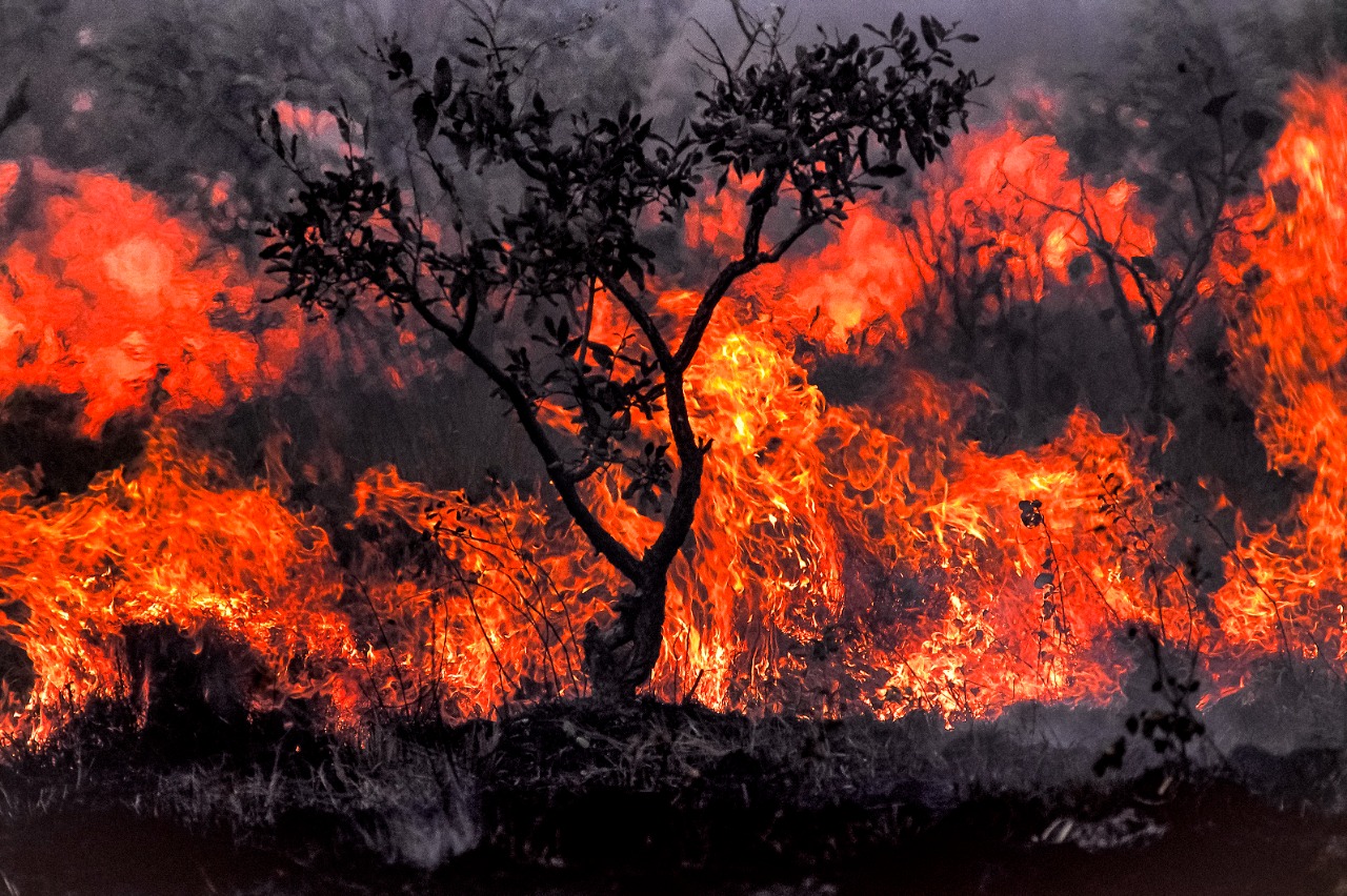 Foto de Araquem Alcântara, que recebe a exposição 'Terra em Transe'