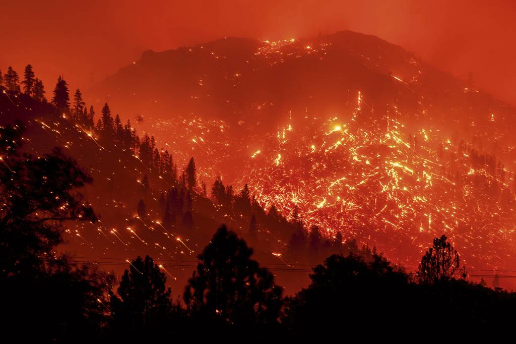 INCÊNDIO - As chamas tomam a floresta nos Estados Unidos: incidentes recorrentes -