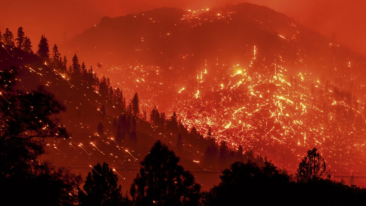 INCÊNDIO - As chamas tomam a floresta nos Estados Unidos: incidentes recorrentes -