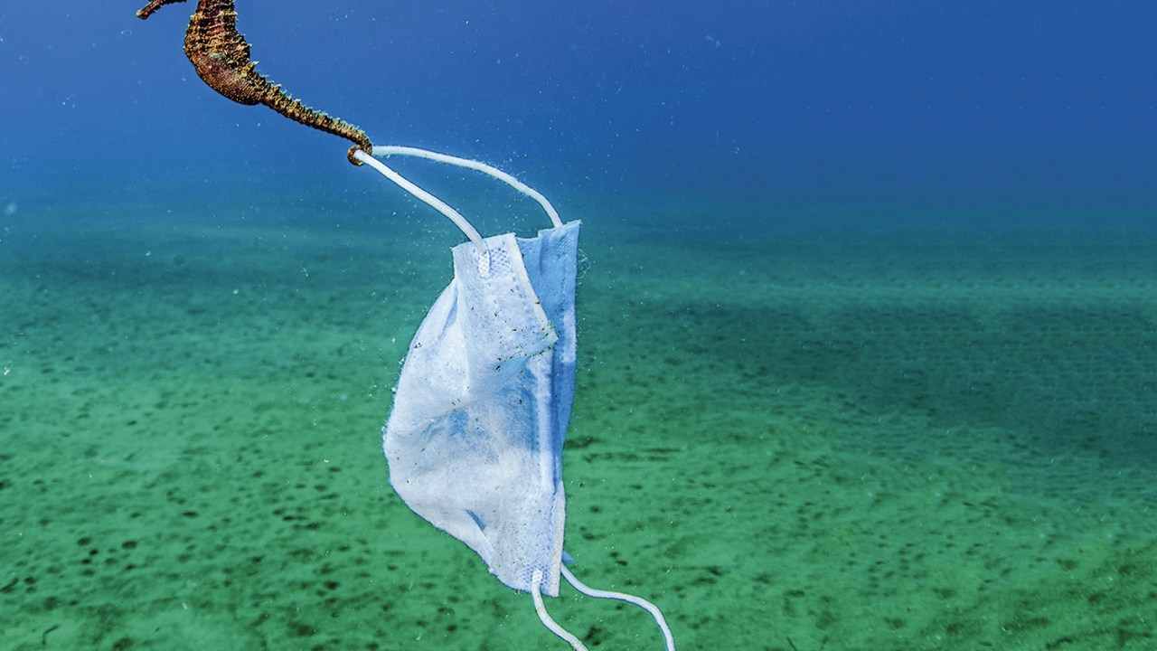 POLUIÇÃO - Cavalo-marinho com máscara descartável: 11 milhões de toneladas de lixo plástico lançadas no mar -