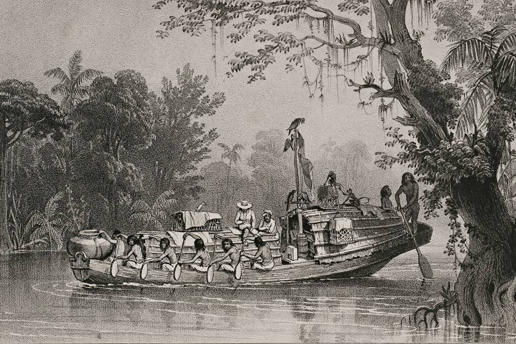 RISCO DE VIDA - Expedição pelo Rio Amazonas no século XIX: a natureza como adversária do homem -