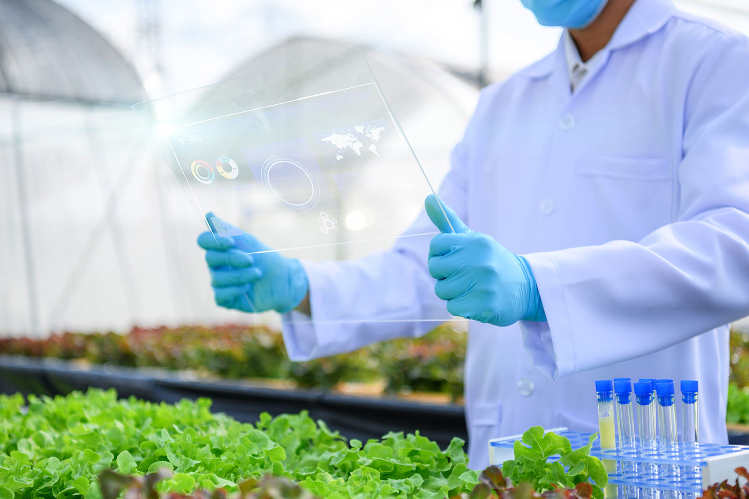 PESQUISA - Laboratório de biotecnologia: estudo do potencial científico e econômico de plantas nativas -