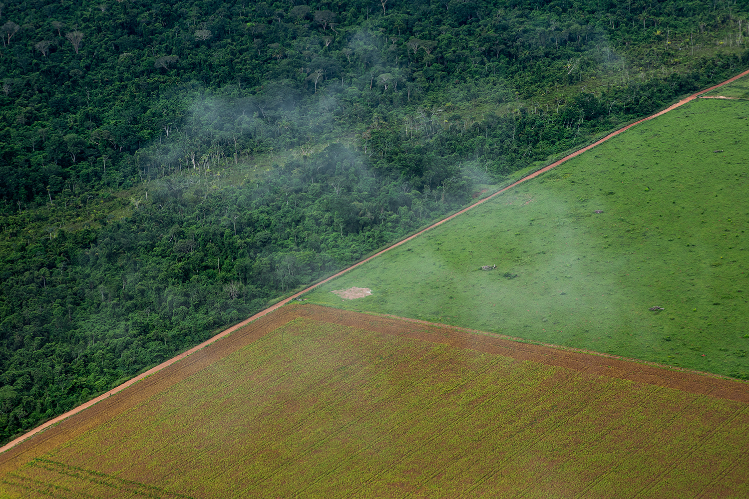 MANEJO SUSTENTÁVEL - Fazenda na Amazônia: legislação prevê equilíbrio entre áreas de plantio e reservas -