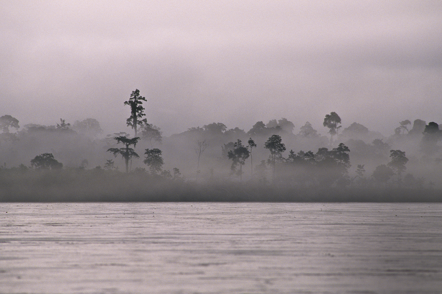 DESAFIO - Rio Napo, na Amazônia peruana, ponto de partida de Carvajal: imensidão a ser domada e explorada -