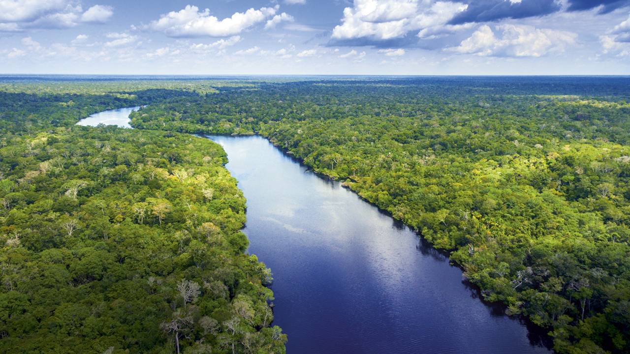 PATRIMÔNIO - Vista aérea da Floresta Amazônica: aumento dos investimentos em projetos de preservação -