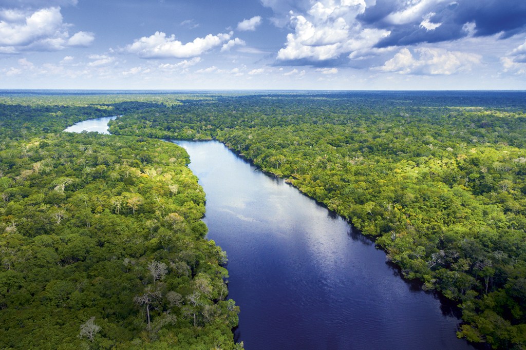PATRIMÔNIO - Vista aérea da Floresta Amazônica: aumento dos investimentos em projetos de preservação -