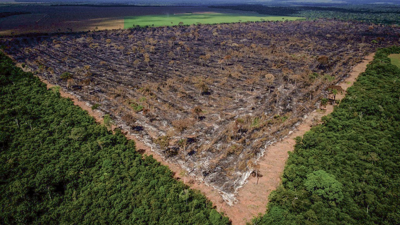 COMBATE À DESTRUIÇÃO - Área desmatada em Mato Grosso: o Brasil deve ser rigoroso ao exigir respeito às leis ambientais -